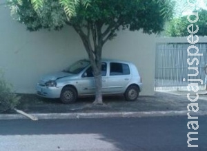 Dois tentam fugir com carro roubado, batem em árvore e são presos