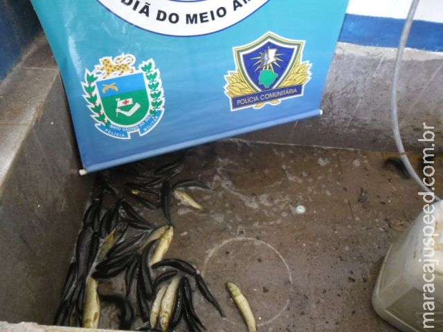 PMA autua pescador por pesca de iscas vivas durante a piracema PMA autua pescador por pesca de iscas vivas durante a piracema