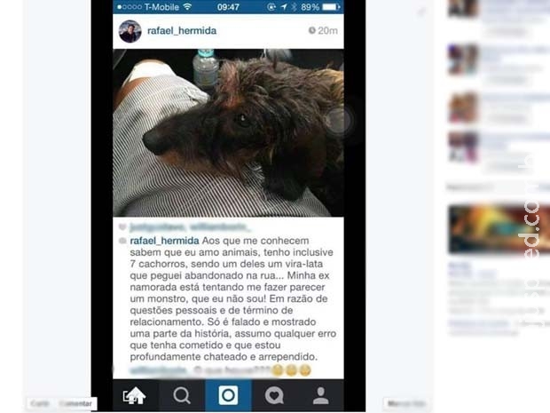 Homem flagrado agredindo cães se diz arrependido: "Amo animais" Homem flagrado agredindo cães se diz arrependido: "Amo animais"