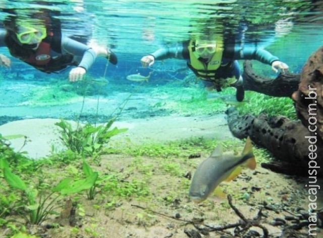 Sem folia, Bonito aposta em ecoturismo para movimentar R$ 4 milhões Sem folia, Bonito aposta em ecoturismo para movimentar R$ 4 milhões