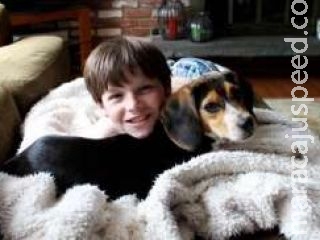 Garoto de 10 anos cria negócio de comidas para cachorro e tem ganho astronômico Garoto de 10 anos cria negócio de comidas para cachorro e tem ganho astronômico