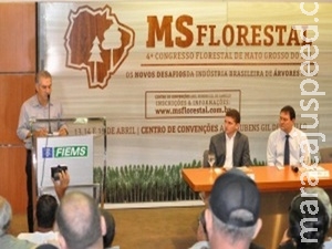 Terceiro maior produtor de eucalipto do país, MS quer ampliar setor Terceiro maior produtor de eucalipto do país, MS quer ampliar setor
