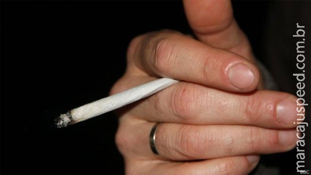 Maconha mais potente triplica risco de psicose, diz estudo Maconha mais potente triplica risco de psicose, diz estudo