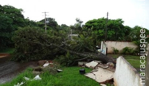 Temporal causa estragos e deixa cidade sem luz em MS Temporal causa estragos e deixa cidade sem luz em MS