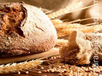 “Pão integral industrializado é pior do que pão branco”, defende médico