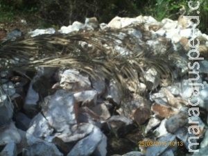 Polícia Ambiental fecha mineradora de mármore irregular em Bonito Polícia Ambiental fecha mineradora de mármore irregular em Bonito