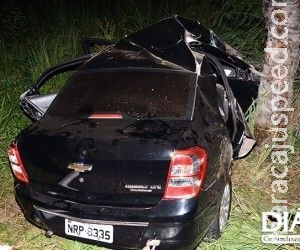 Homem é preso após bater o carro na fuga com aves silvestres