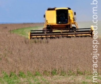 Colheita da soja atinge 95% da área e entra na reta final em MS Colheita da soja atinge 95% da área e entra na reta final em MS