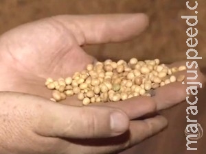 Programa de gestão rural quer atender 1.100 produtores em MS Programa de gestão rural quer atender 1.100 produtores em MS
