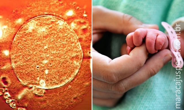 Avanço científico permite que casais homoafetivos tenham filhos biológicos