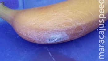 Britânica acha aranha que causa ereção e morte em banana Britânica acha aranha que causa ereção e morte em banana