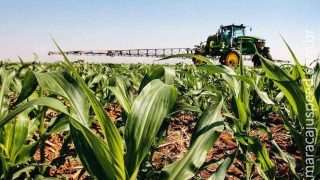 Brasil terá aumento na 2ª colheita de milho em 2015 Brasil terá aumento na 2ª colheita de milho em 2015