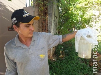 Suposto coração humano encontrado em frasco no lixão assombra catadores