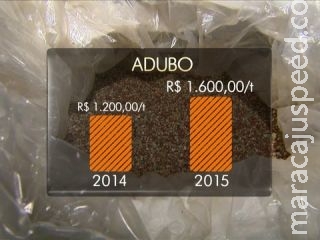 Adubo e agrotóxicos estão mais caros para plantar milho e trigo 