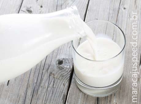 Estudo: consumir leite não diminui risco de fraturas ósseas