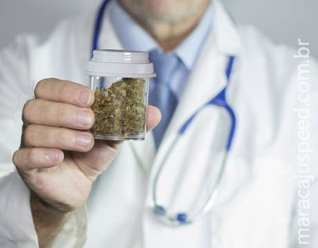 Maconha da atualidade é 3 vezes mais forte do que há 30 anos Maconha da atualidade é 3 vezes mais forte do que há 30 anos