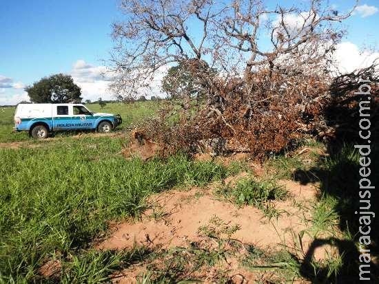 PMA autua fazendeiro em R$ 23,7 mil por desmatamento ilegal de 79 hectares