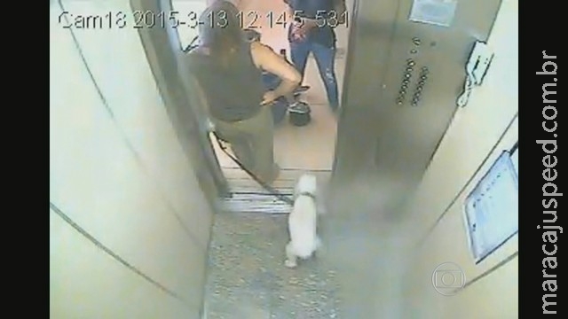 Idosa agride mãe com bebê em disputa por elevador Idosa agride mãe com bebê em disputa por elevador