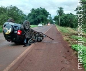 Caminhão que transportava porcos e carro batem; três ficam feridos Caminhão que transportava porcos e carro batem; três ficam feridos