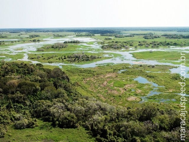 Famasul e Aprosoja/MS pedem prorrogação de prazo para Cadastro Ambiental Rural