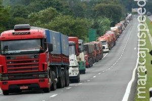 Lei do Caminhoneiro deve baratear o transporte de grãos no Brasil Lei do Caminhoneiro deve baratear o transporte de grãos no Brasil