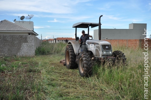 Moradores são multados em até R$ 2 mil por deixar mato tomar conta de terreno