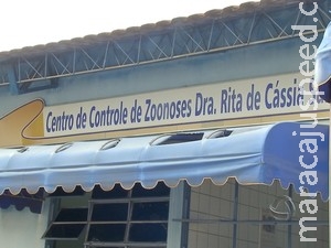 Corumbá, MS, recebe reforço de 13 profissionais para combate à raiva Corumbá, MS, recebe reforço de 13 profissionais para combate à raiva