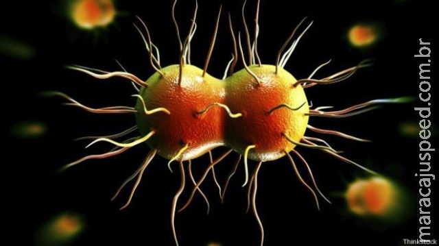As ameaças ocultas da infecção vaginal mais comum As ameaças ocultas da infecção vaginal mais comum