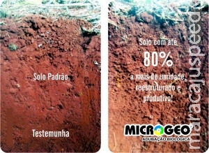 Adubação biológica cuida da saúde do solo com baixo custo Adubação biológica cuida da saúde do solo com baixo custo