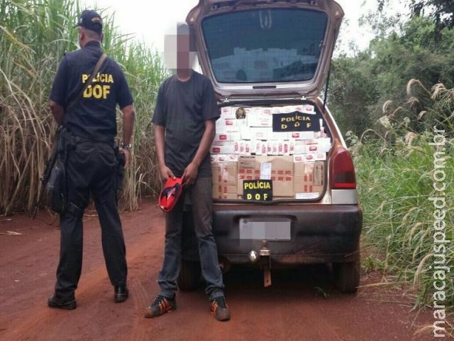 DOF apreende um mil e quatrocentos pacotes de cigarro na região de Ponta Porã DOF apreende um mil e quatrocentos pacotes de cigarro na região de Ponta Porã