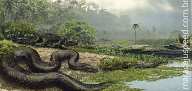 Sucuri Pré-histórica tinha mais de 10 metros e pesava 1 tonelada Sucuri Pré-histórica tinha mais de 10 metros e pesava 1 tonelada