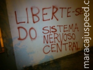 Homem e cinco adolescentes são detidos por pichações e multados em R$ 8 mil