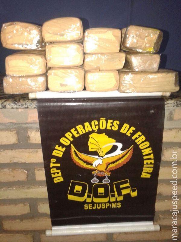 DOF prende jovem paulistana com treze quilos de maconha em ônibus DOF prende jovem paulistana com treze quilos de maconha em ônibus
