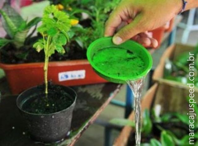 Casos de dengue no país aumentam 234% e chegam a 745,9 mil neste ano Casos de dengue no país aumentam 234% e chegam a 745,9 mil neste ano