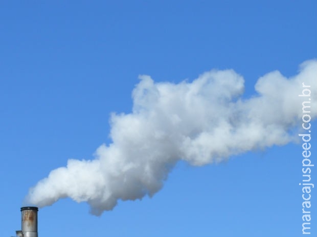 Mato Grosso do Sul ganha um novo manual para licenciamento ambiental Mato Grosso do Sul ganha um novo manual para licenciamento ambiental