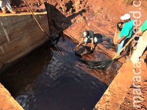MPE investiga possível dano ambiental em nascente de rio em MS MPE investiga possível dano ambiental em nascente de rio em MS