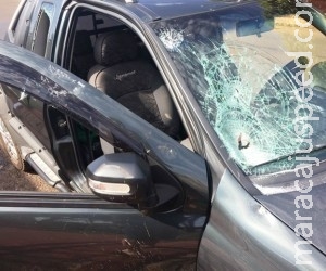 Cansada de apanhar, mulher quebra carro do ex-marido