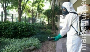 Saúde investe mais R$ 150 milhões para ações de combate à dengue no País Saúde investe mais R$ 150 milhões para ações de combate à dengue no País