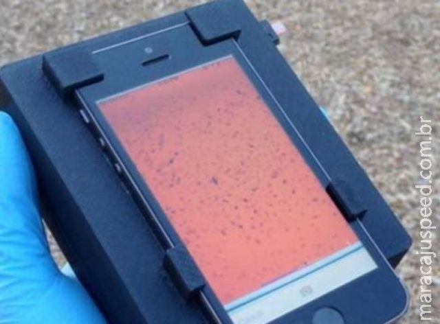 Sistema permite que smartphone identifique parasitas Sistema permite que smartphone identifique parasitas