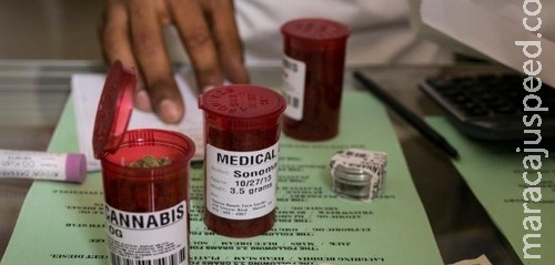 Exército da Itália cultiva maconha em fazenda Exército da Itália cultiva maconha em fazenda