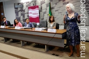 Procuradoria da Mulher do Senado debate humanização do atendimento à gestante