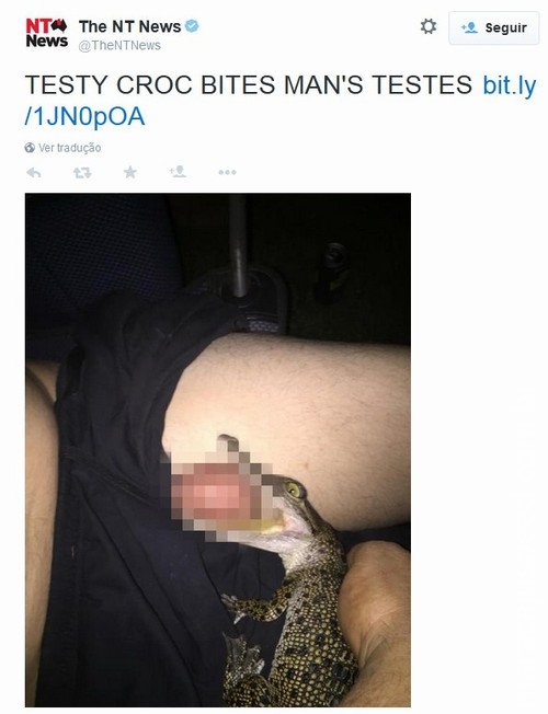 Foto enviada a site de notícias assusta: crocodilo mordendo testículos Foto enviada a site de notícias assusta: crocodilo mordendo testículos