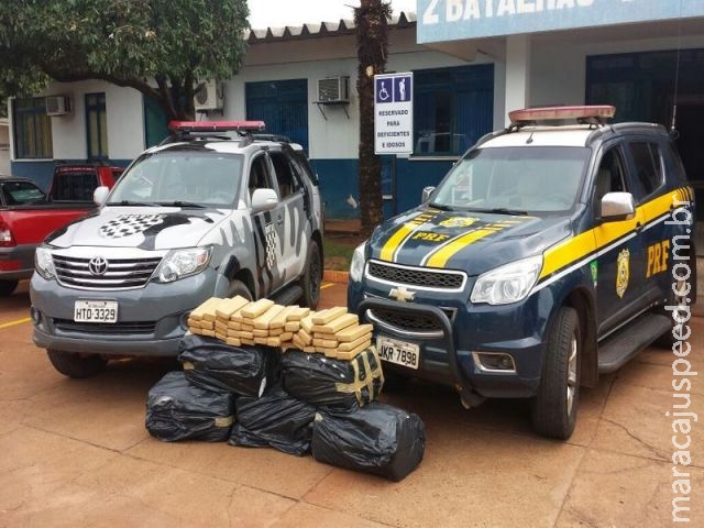 PRF apreende carga de 290 kg de maconha