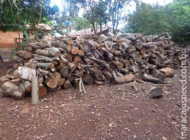Arrendatário é multado em R$ 5,4 mil por armazenar madeira ilegalmente