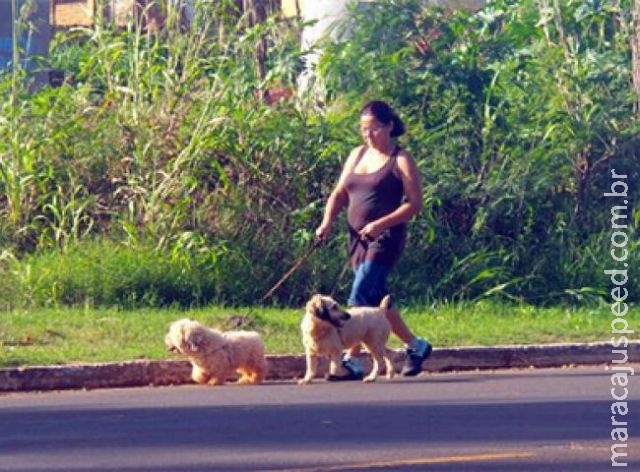 Cães lideram preferência e estão em 54,9% dos domicílios de MS