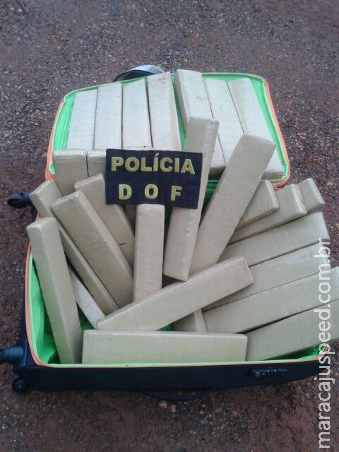 DOF apreende catarinense de 15 anos em ônibus, com mais de trinta quilos de maconha DOF apreende catarinense de 15 anos em ônibus, com mais de trinta quilos de maconha
