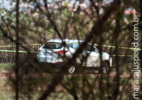 Carro invadido por leão em parque é fotografado após morte de turista Carro invadido por leão em parque é fotografado após morte de turista