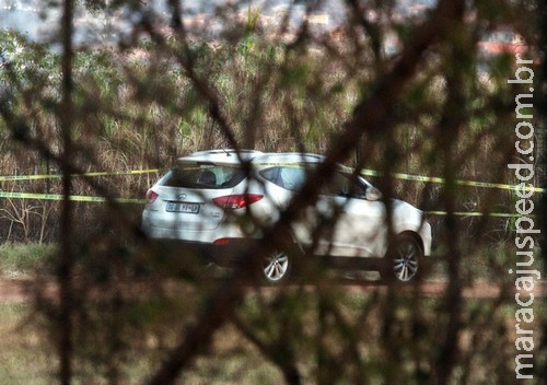 Carro invadido por leão em parque é fotografado após morte de turista