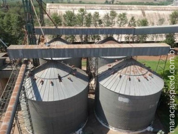 MS tem capacidade de armazenagem quase igual a produção da safrinha MS tem capacidade de armazenagem quase igual a produção da safrinha