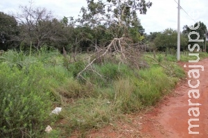 Homem é encontrado morto com tiro na cabeça perto de museu na Capital